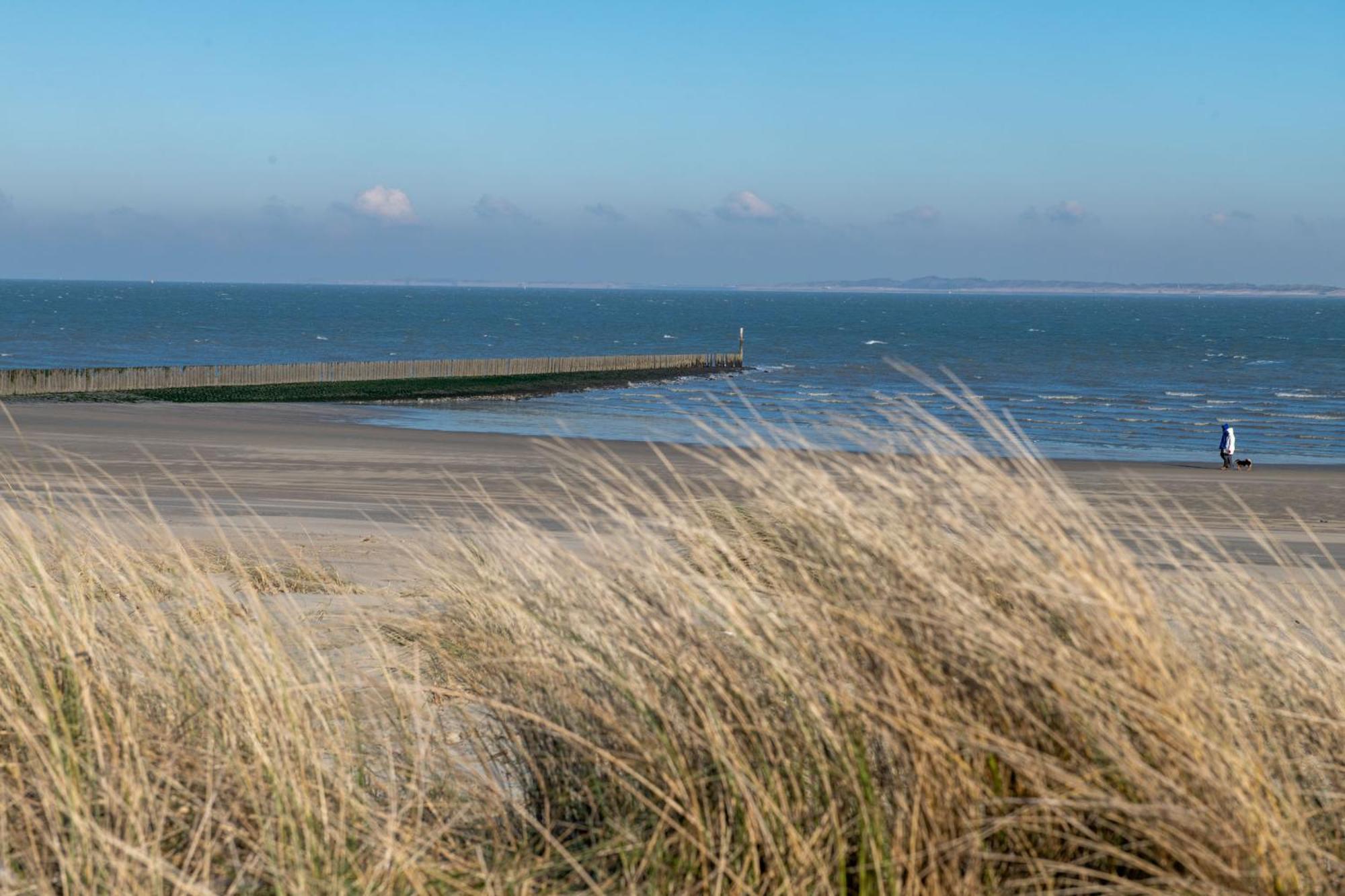 Kustverhuur, Groede, Paarlhof 17 Esterno foto