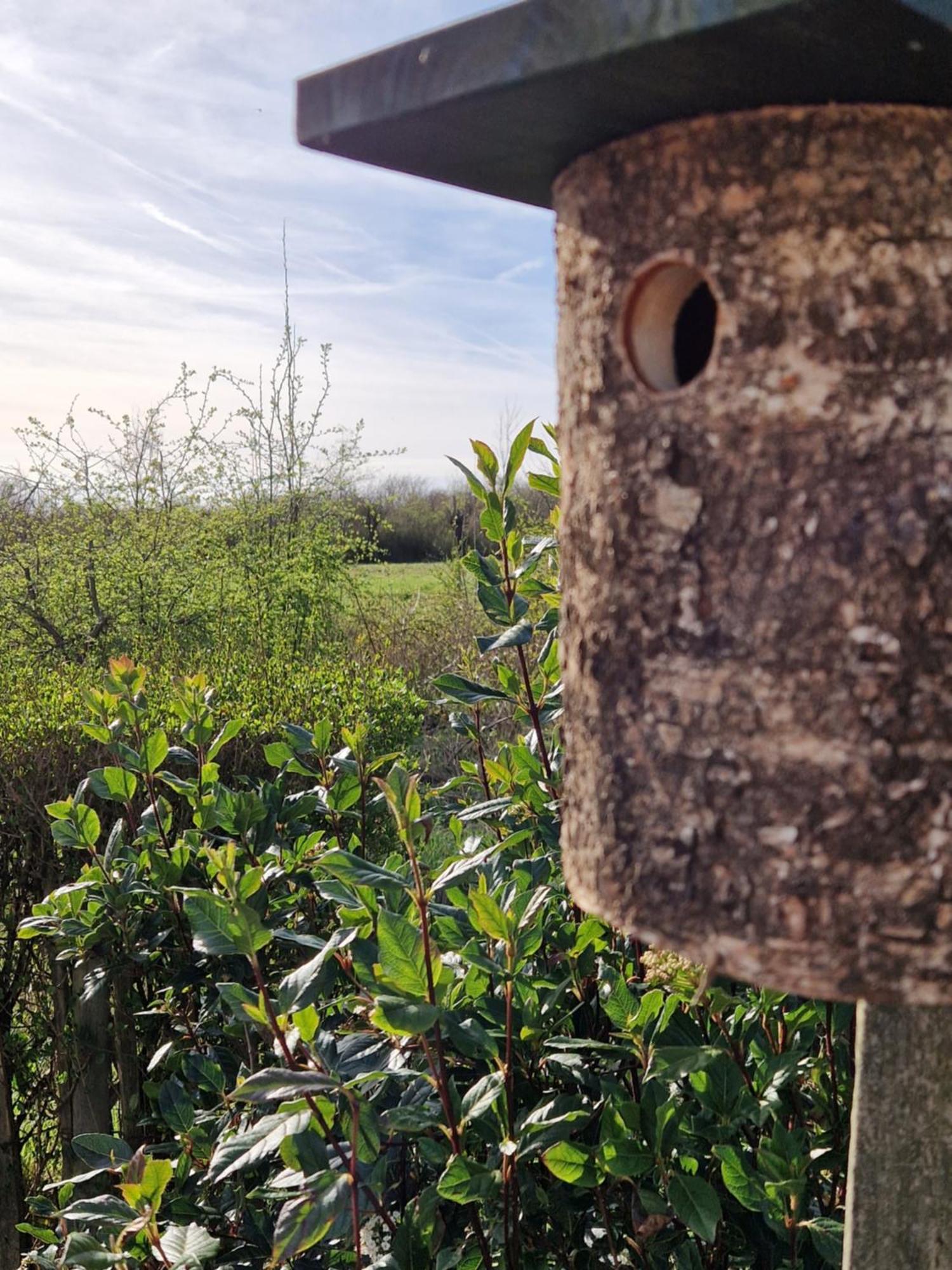 Kustverhuur, Groede, Paarlhof 17 Esterno foto
